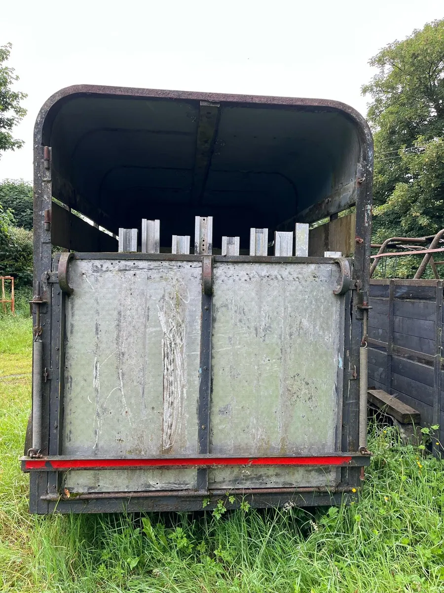 Cattle trailer - Image 4