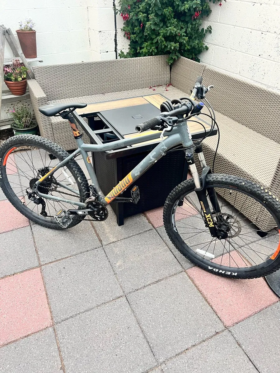 Mountain bike - Image 1