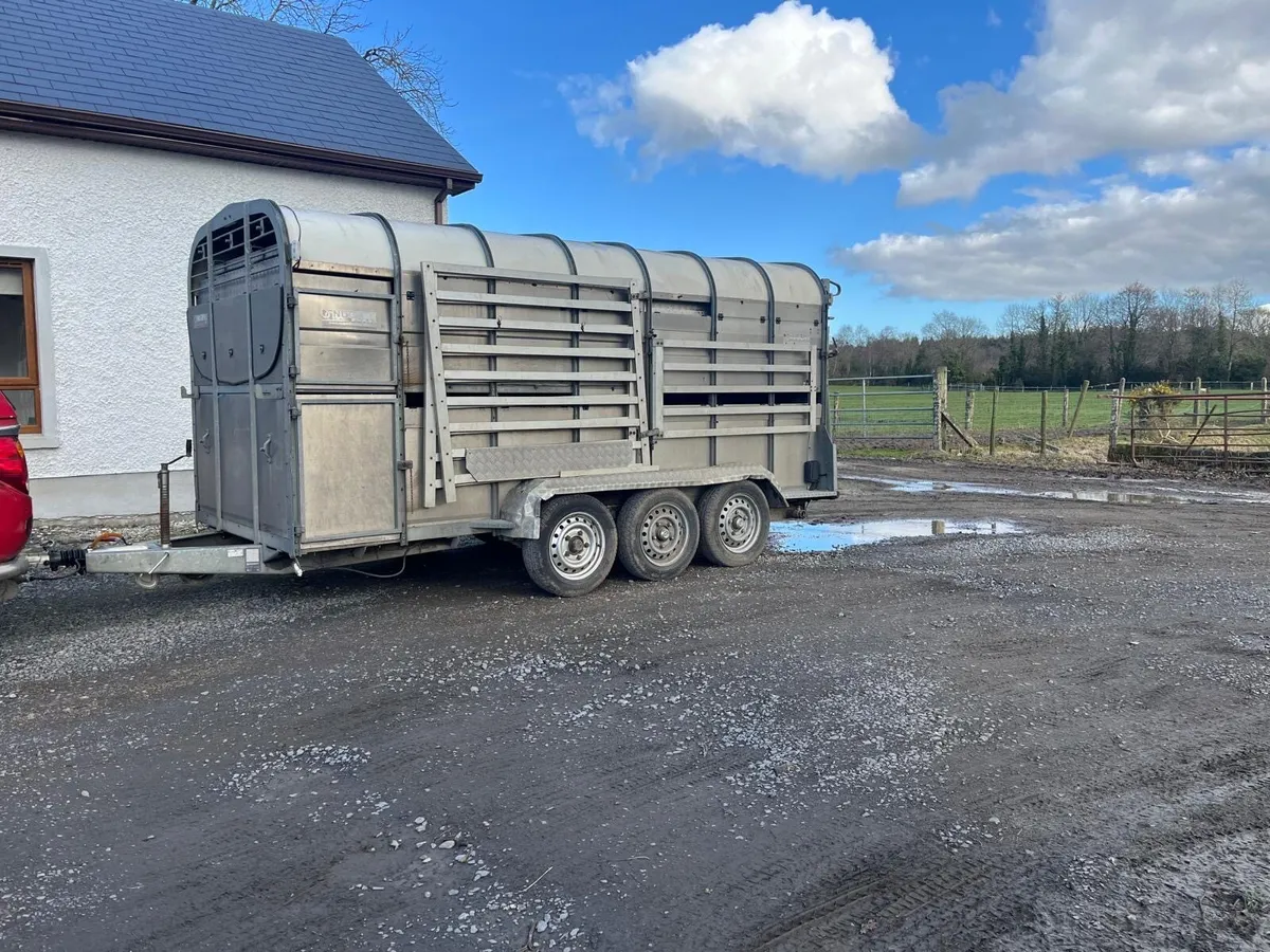 14ft nugent cattle trailer for sale - Image 2