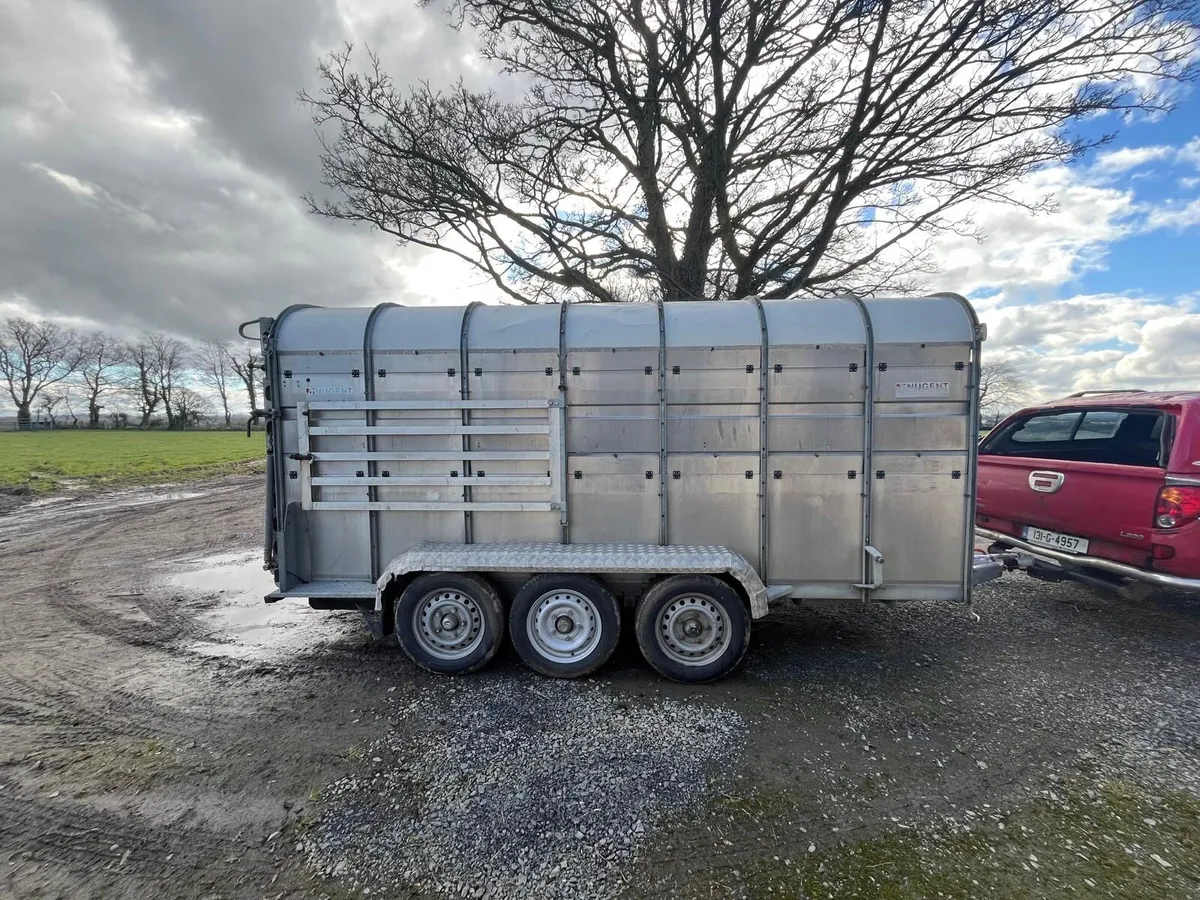 14ft nugent cattle trailer for sale - Image 4