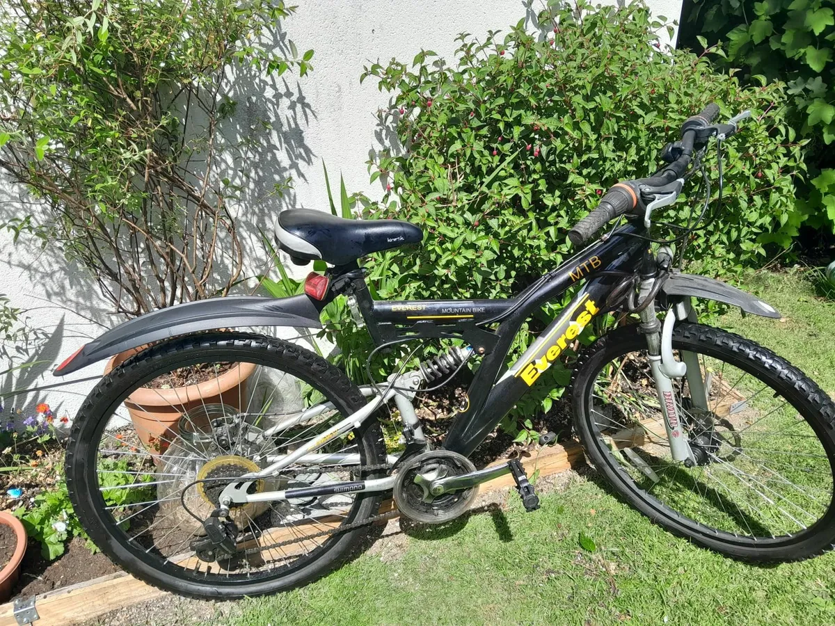 Bicycles - Image 2