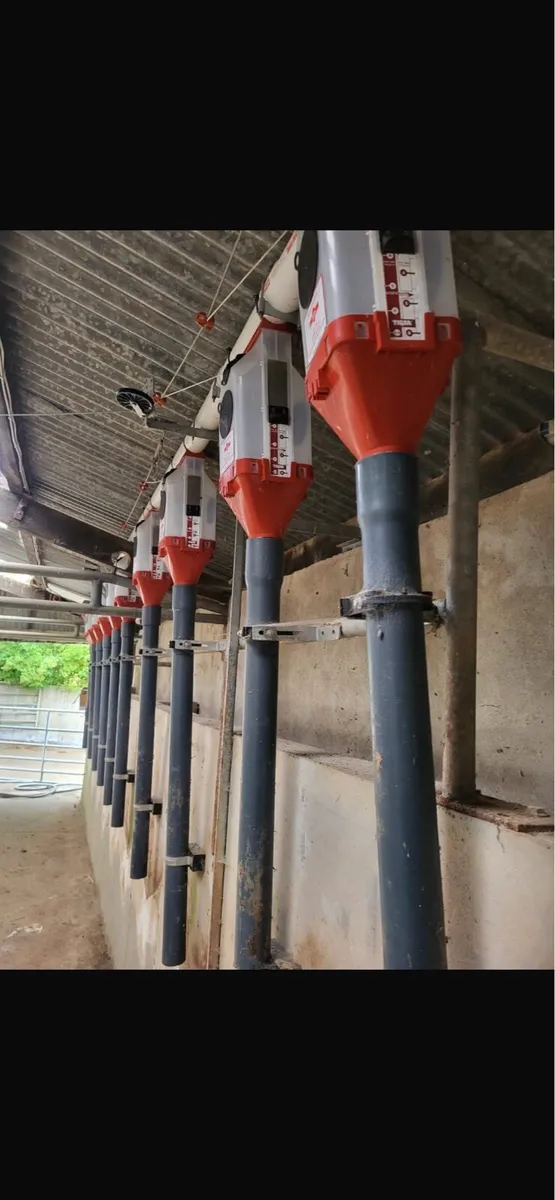 IDS Batch Feeders - Image 2