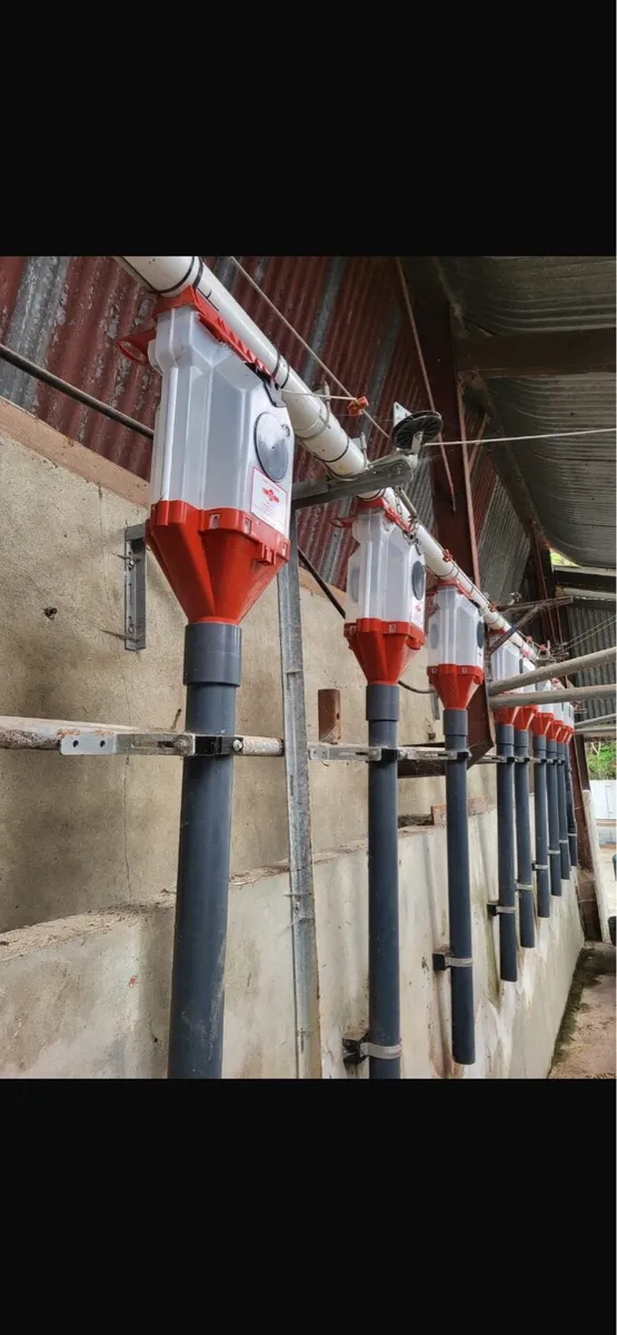 IDS Batch Feeders - Image 3