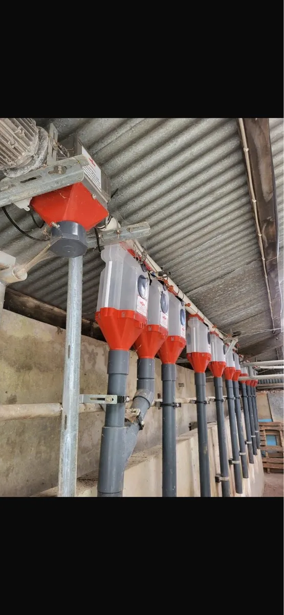 IDS Batch Feeders - Image 4
