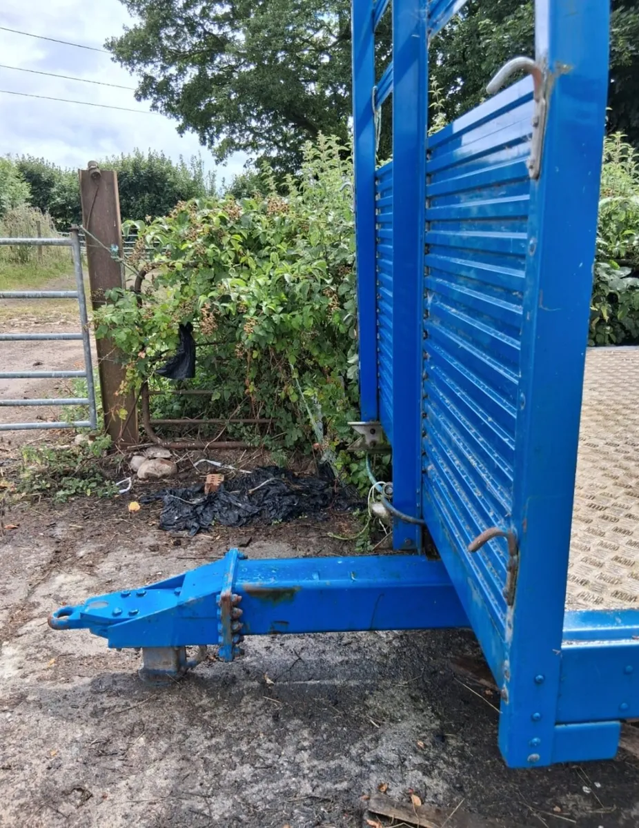 Bale Trailer For Sale - Image 3