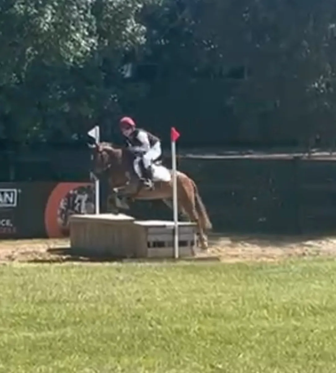✨Ballyroan Rebel✨ - Image 3