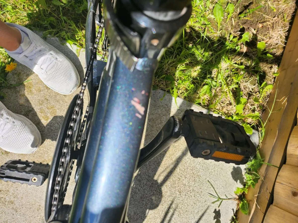 Electric bike - Image 2