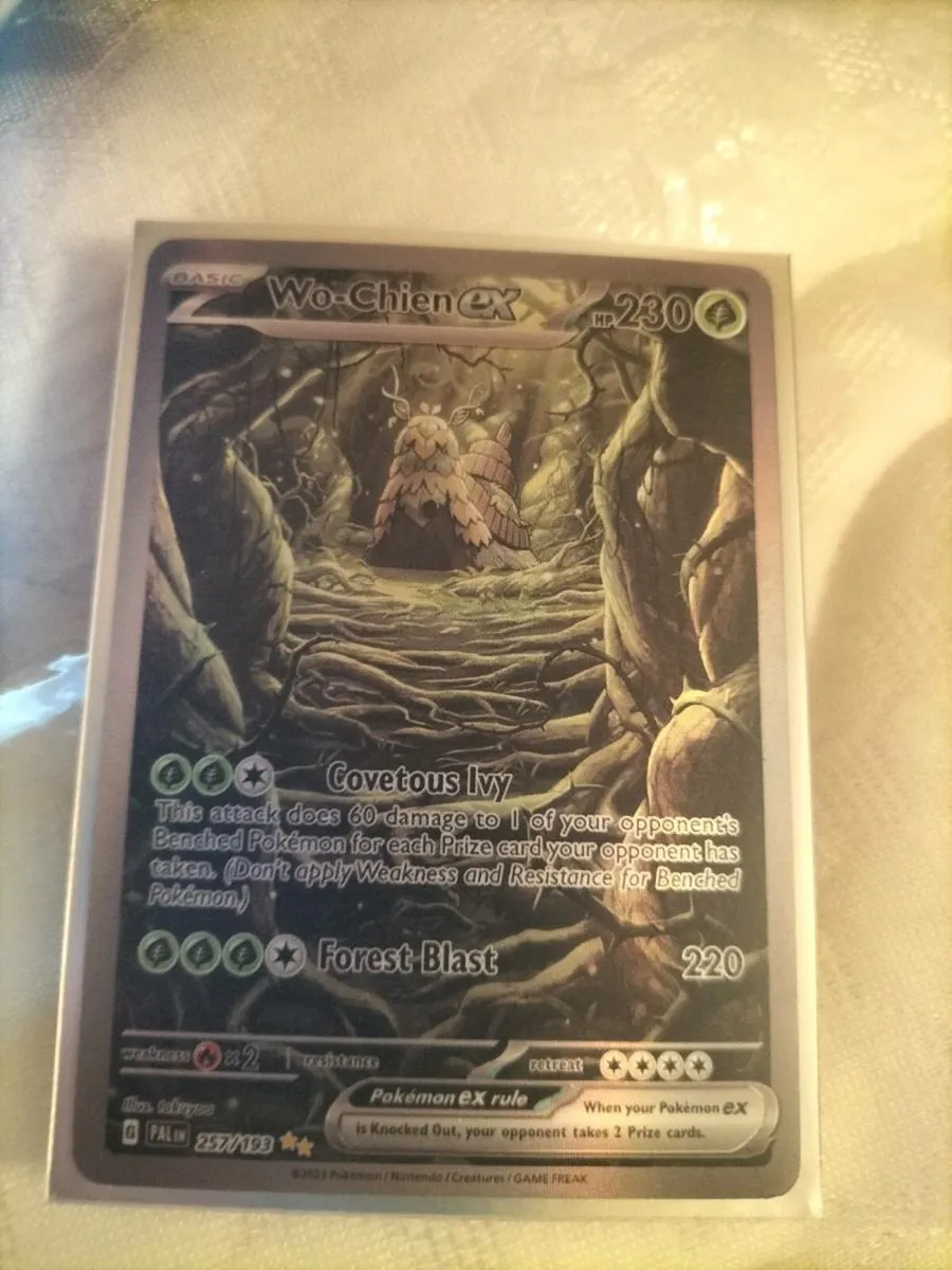 ENCHANTED FOREST WO.. CHIEN. EX.. 257/193..