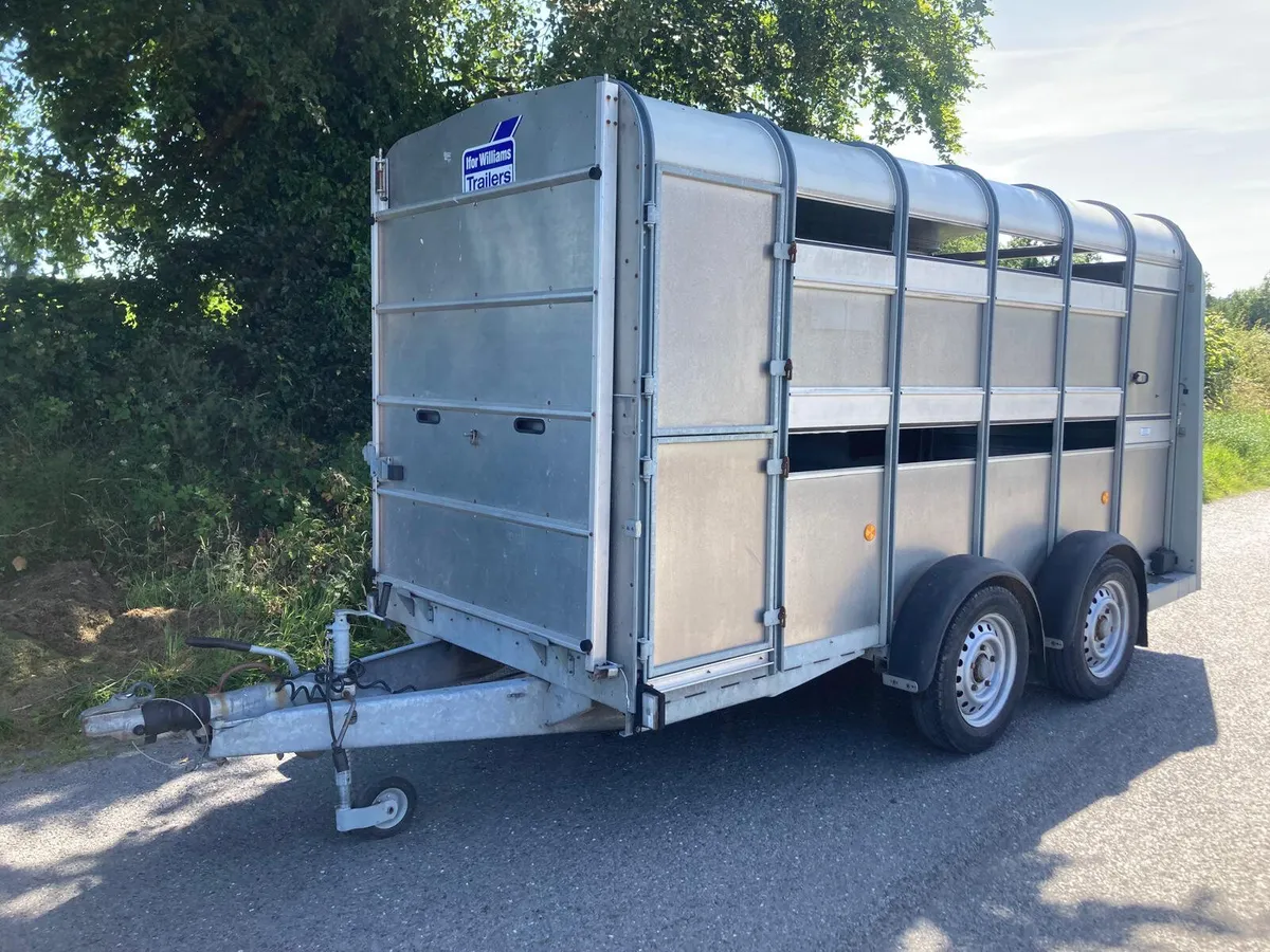 2014 Ifor Williams 12x5 Sheep Decks  Trailer - Image 2