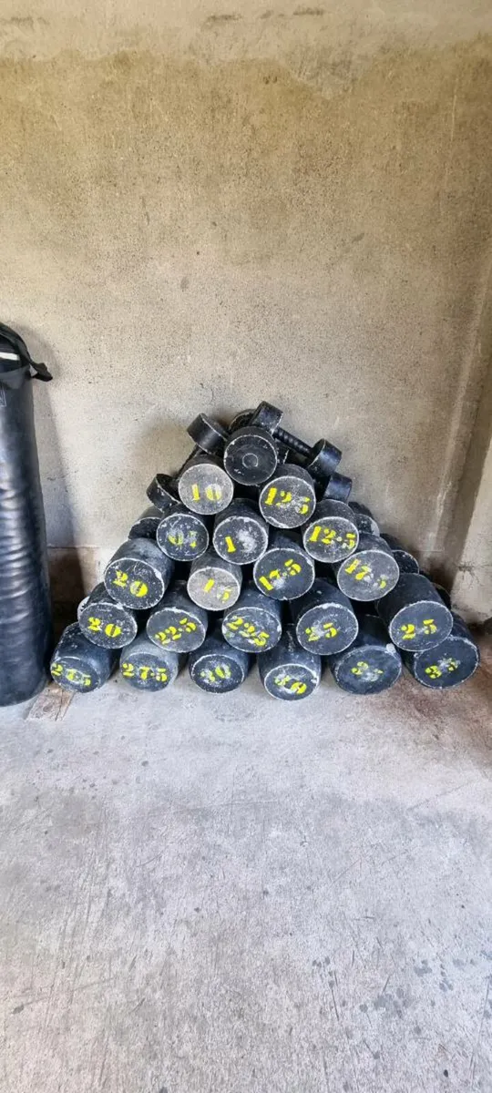 Concrete Dumbell set and boxing bag - Image 1