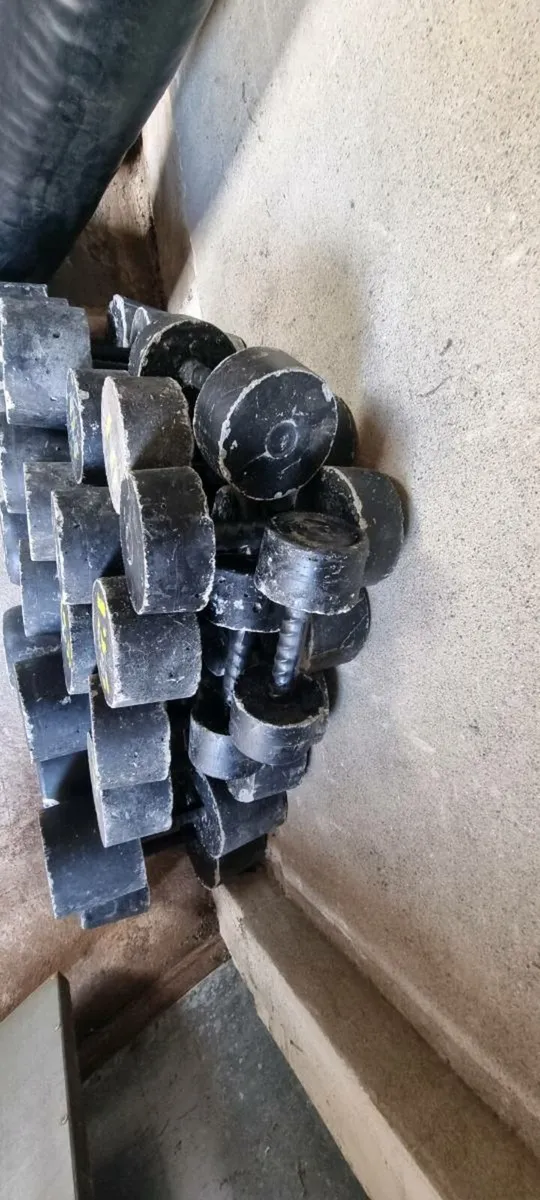 Concrete Dumbell set and boxing bag - Image 2
