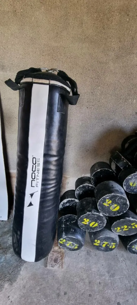 Concrete Dumbell set and boxing bag - Image 3