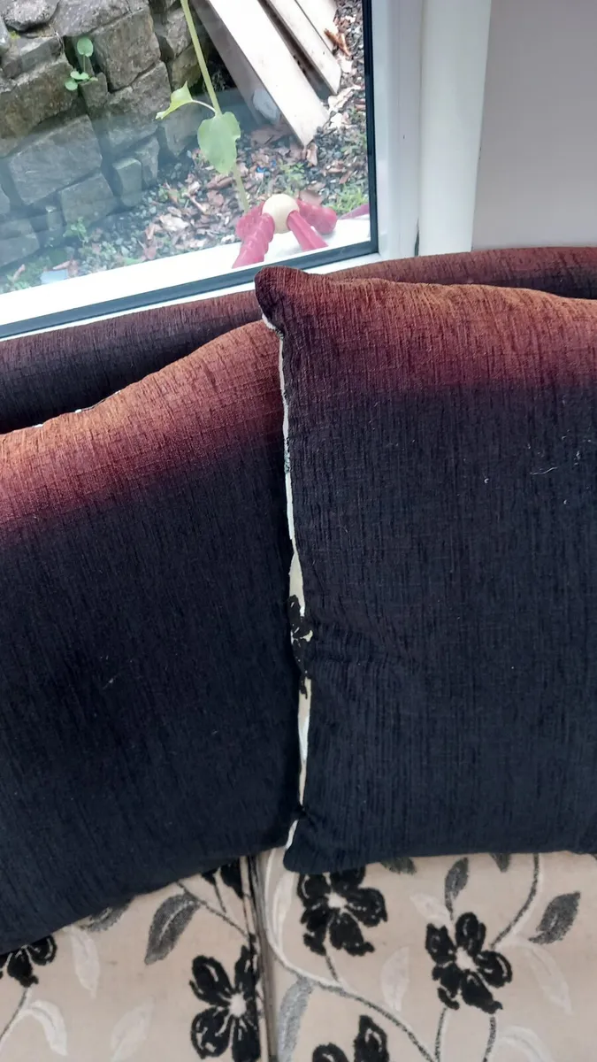 Couch sofa  free - Image 3