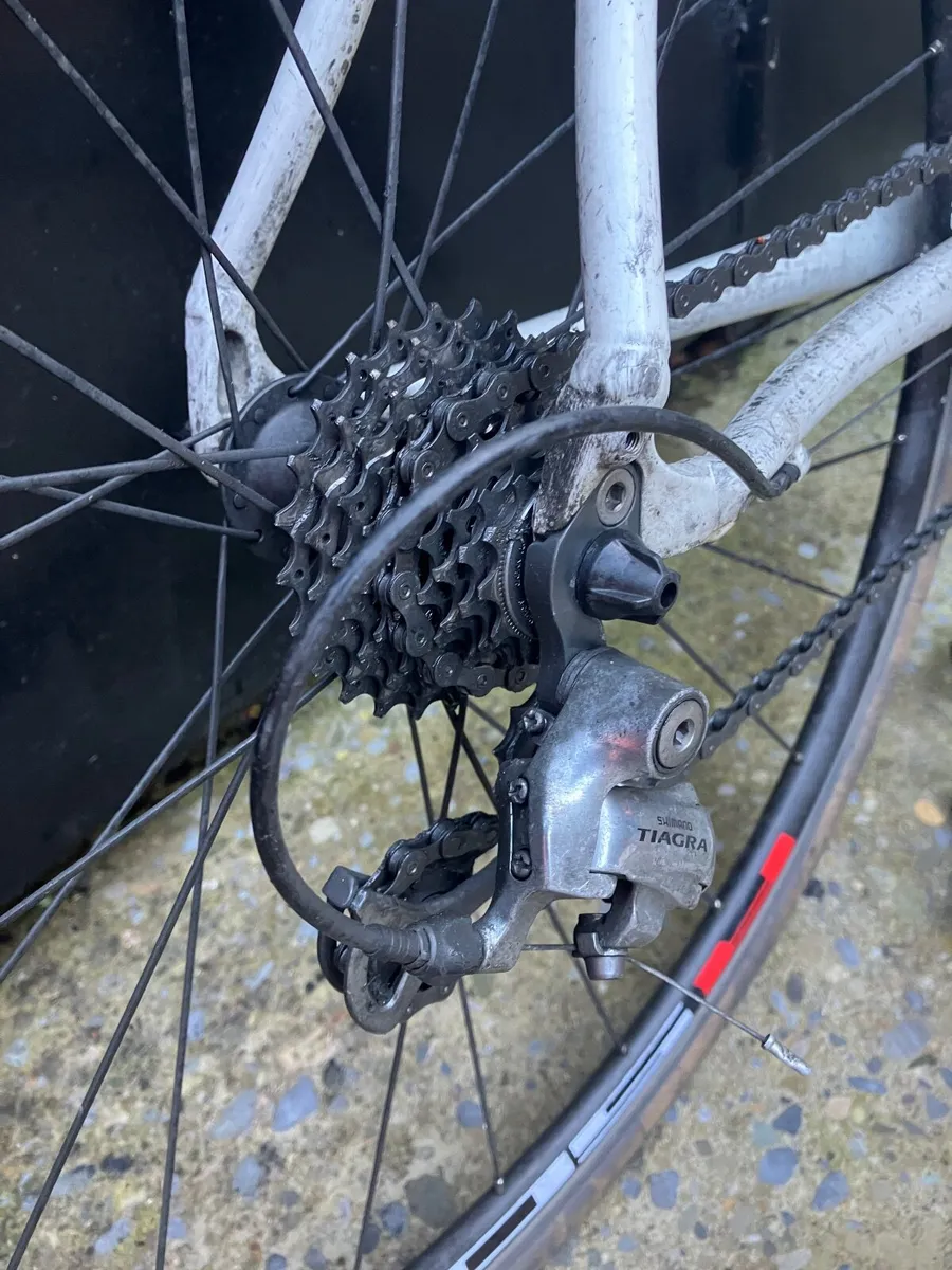 Specialized Allez Aluminium 54cm M - Image 2