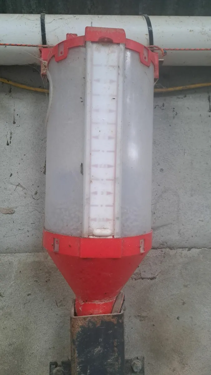 Parlour feeders - Image 1