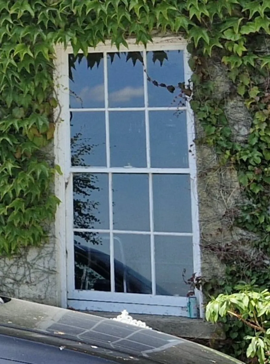 Sash windows - Image 1