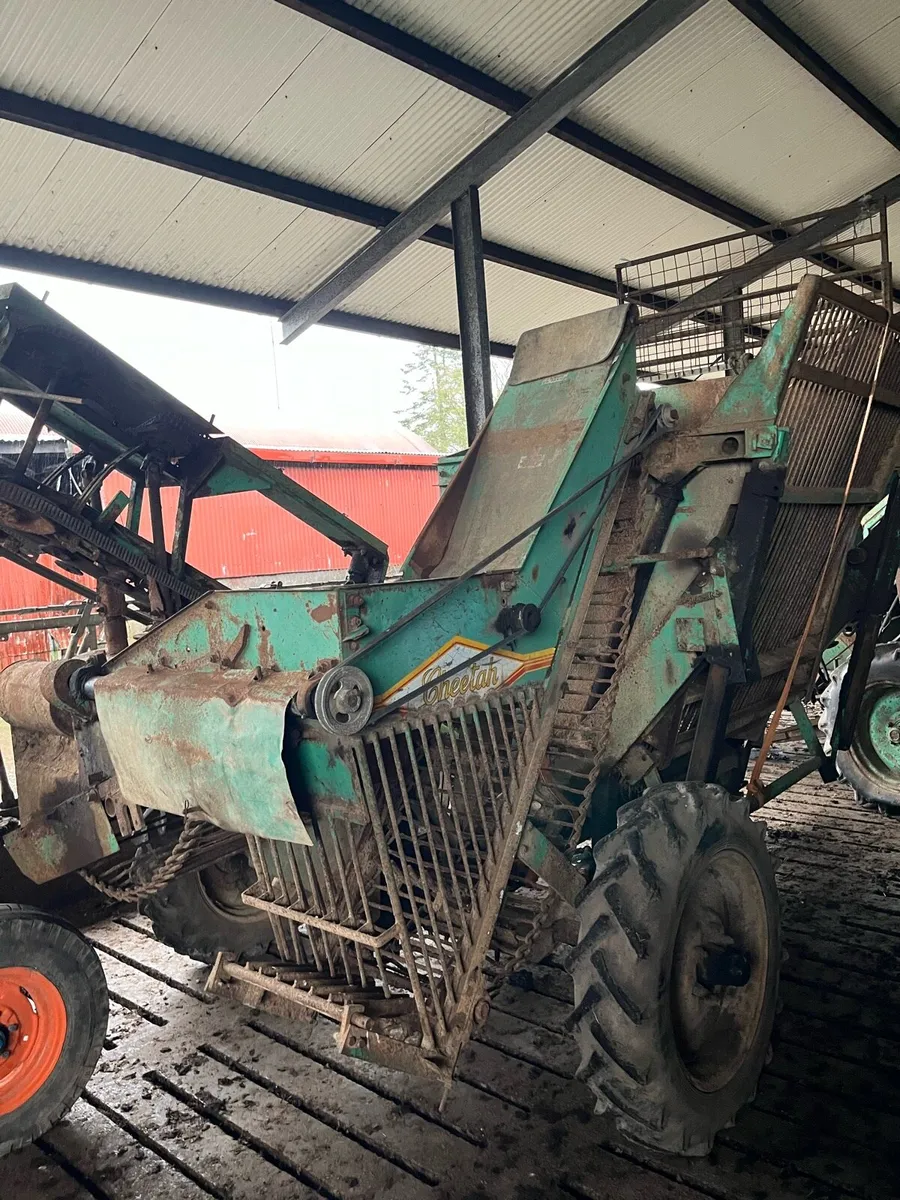 Armour salmon beet harvester - Image 4