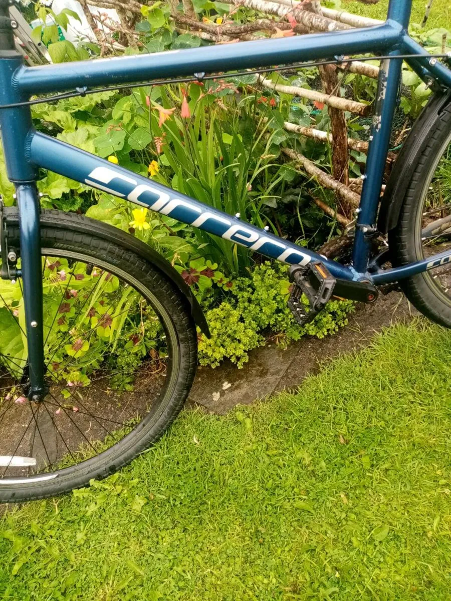 Mountain male bike - Image 4