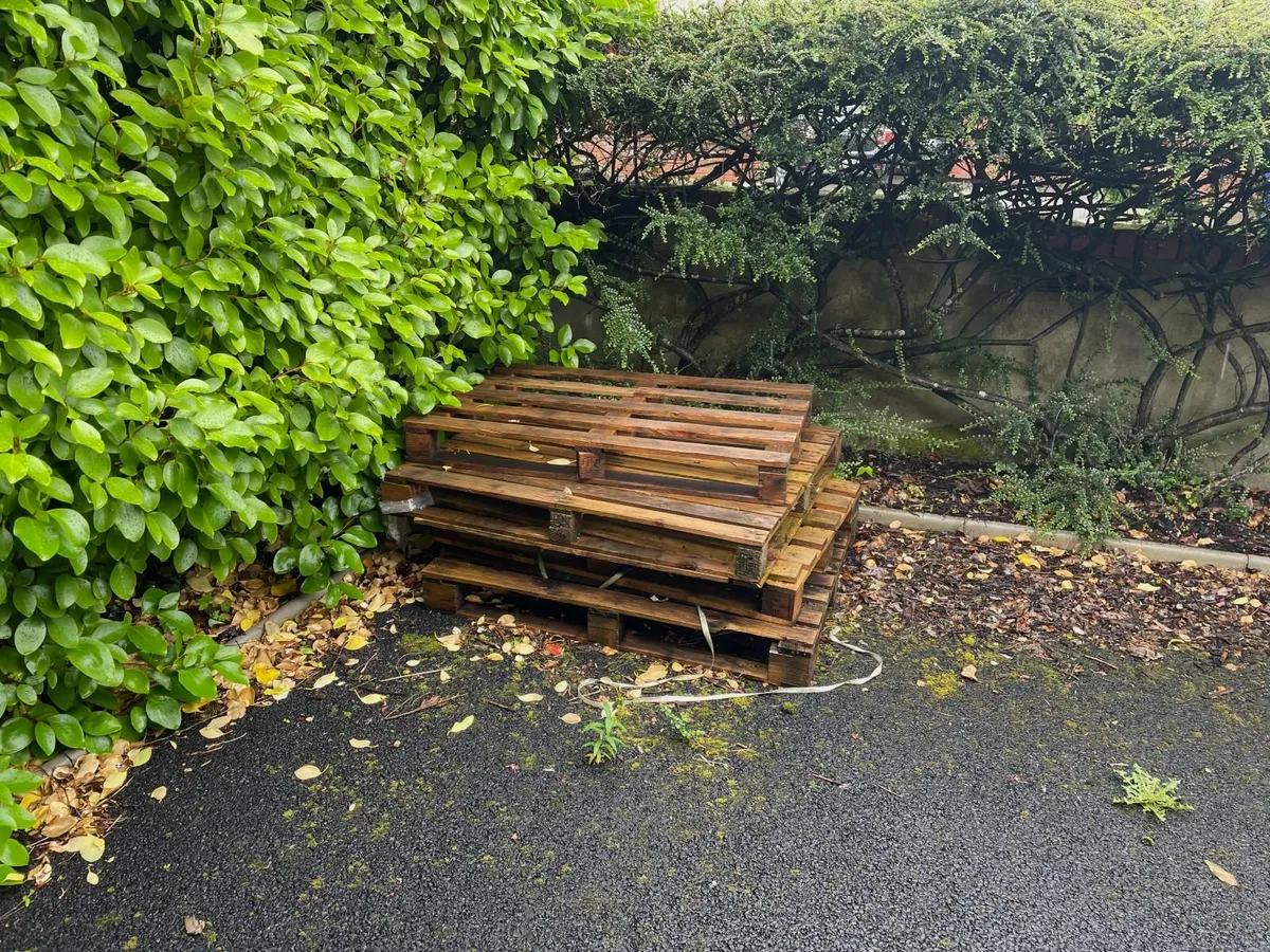 Pallets for free