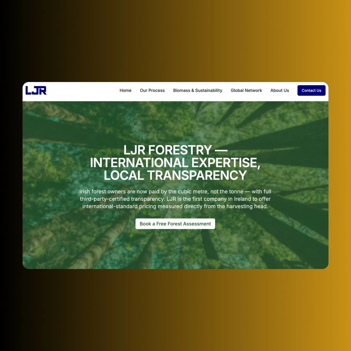 Professional Website Developer - Image 3