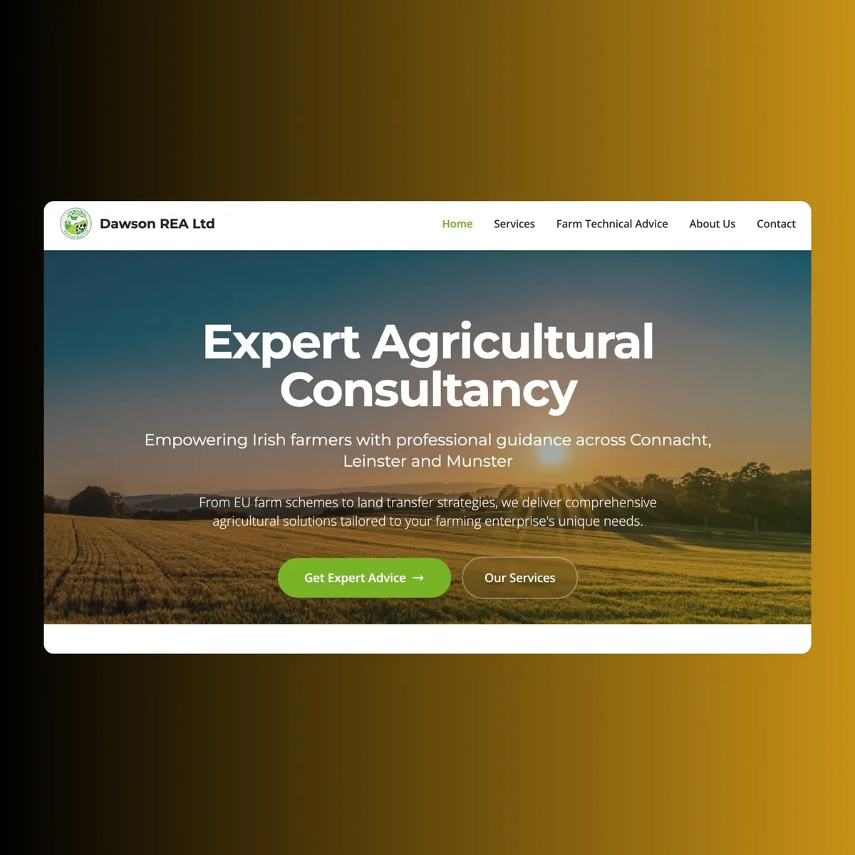 Professional Website Developer - Image 4