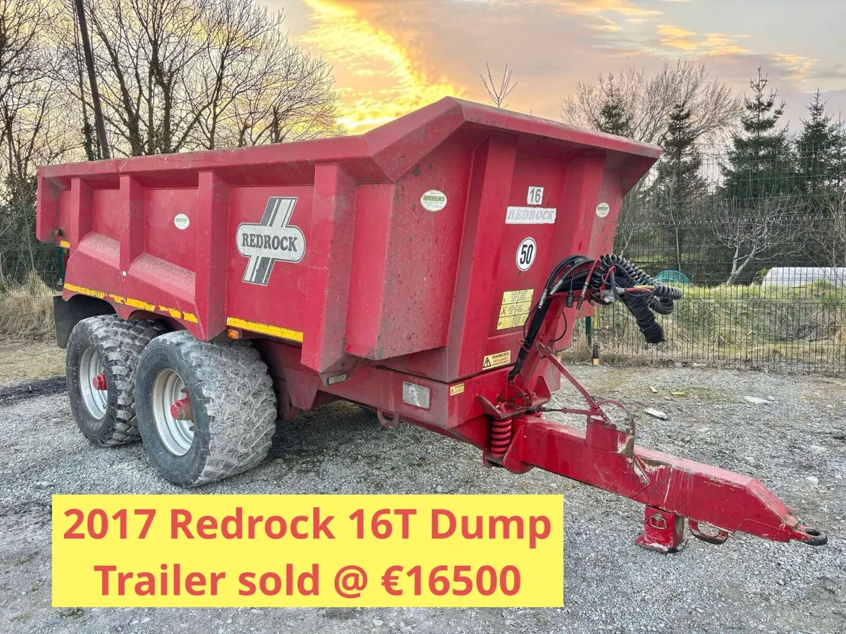 Auction Review H1 2025 Part 2 - Image 4