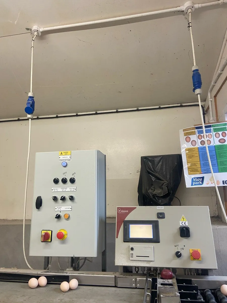 Layer house equipment - Image 4