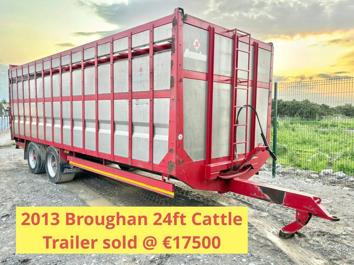 Auction Review H1 2025 Part 1 - Image 2