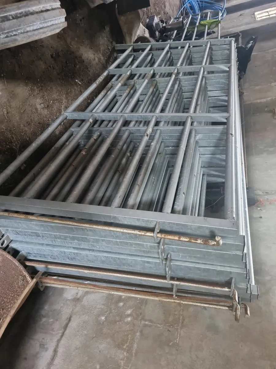 Cattle handling gates