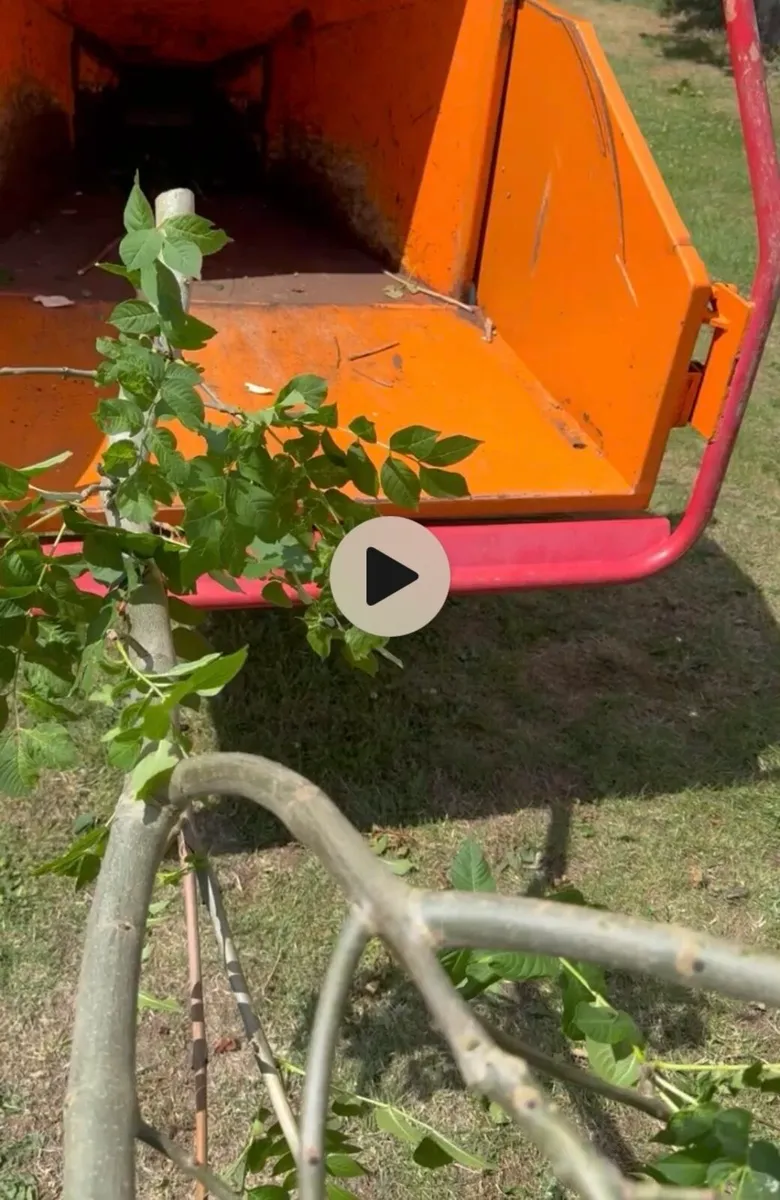 Kwickchip euroline Diesel chipper . Timberwolf - Image 2