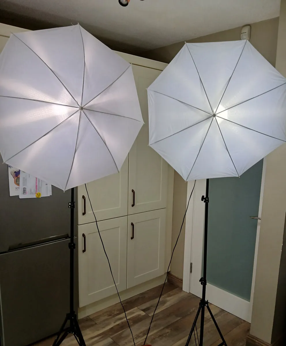 Photography Lights, Shades & Tripods - Image 1