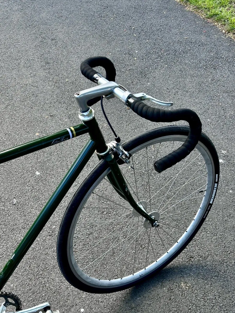 Fuji Feather - Image 4