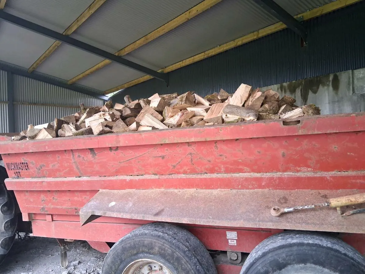 Ash timber - Image 1