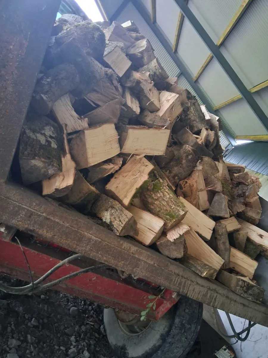 Ash timber - Image 2