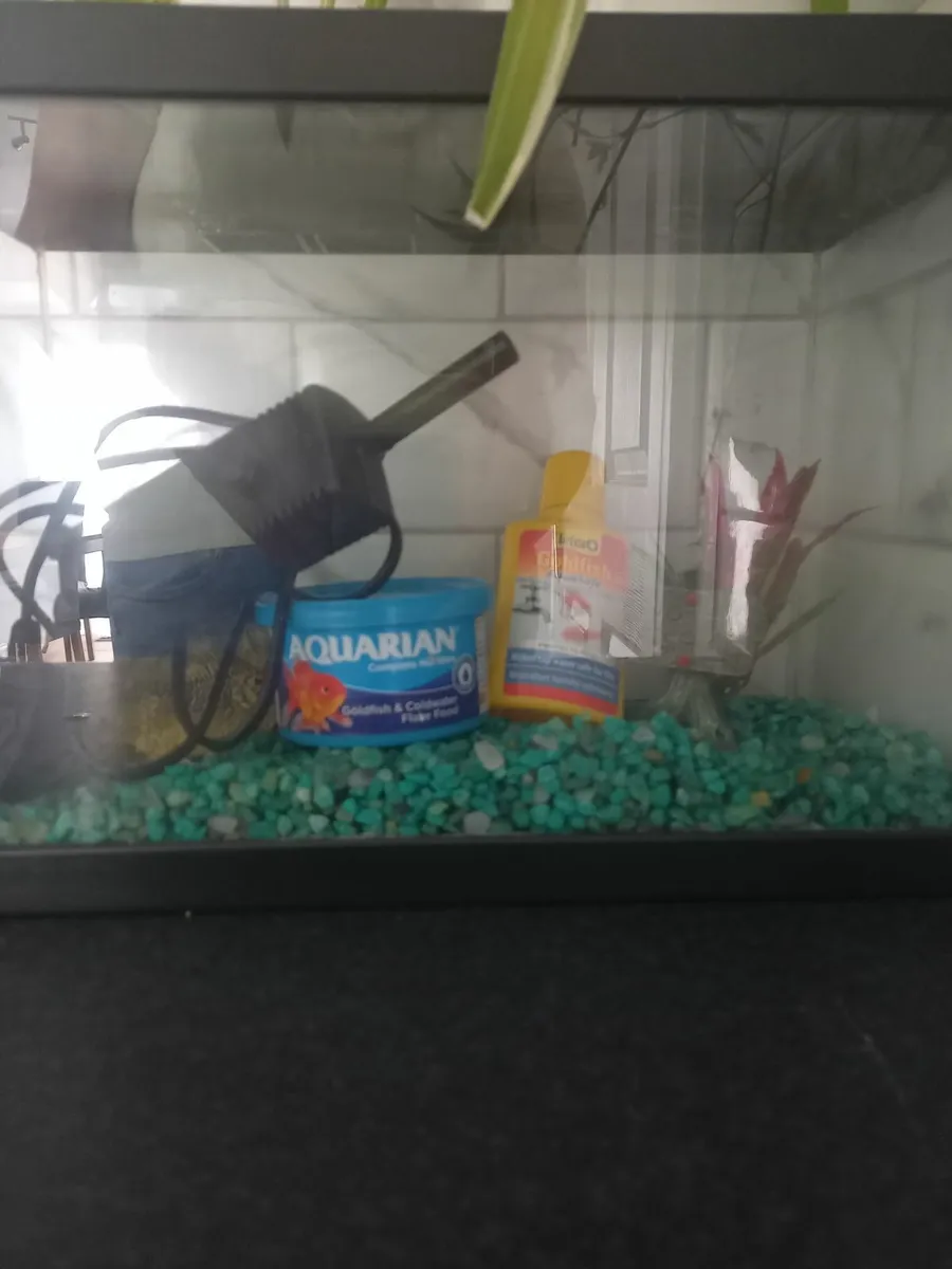 Fish tank - Image 3