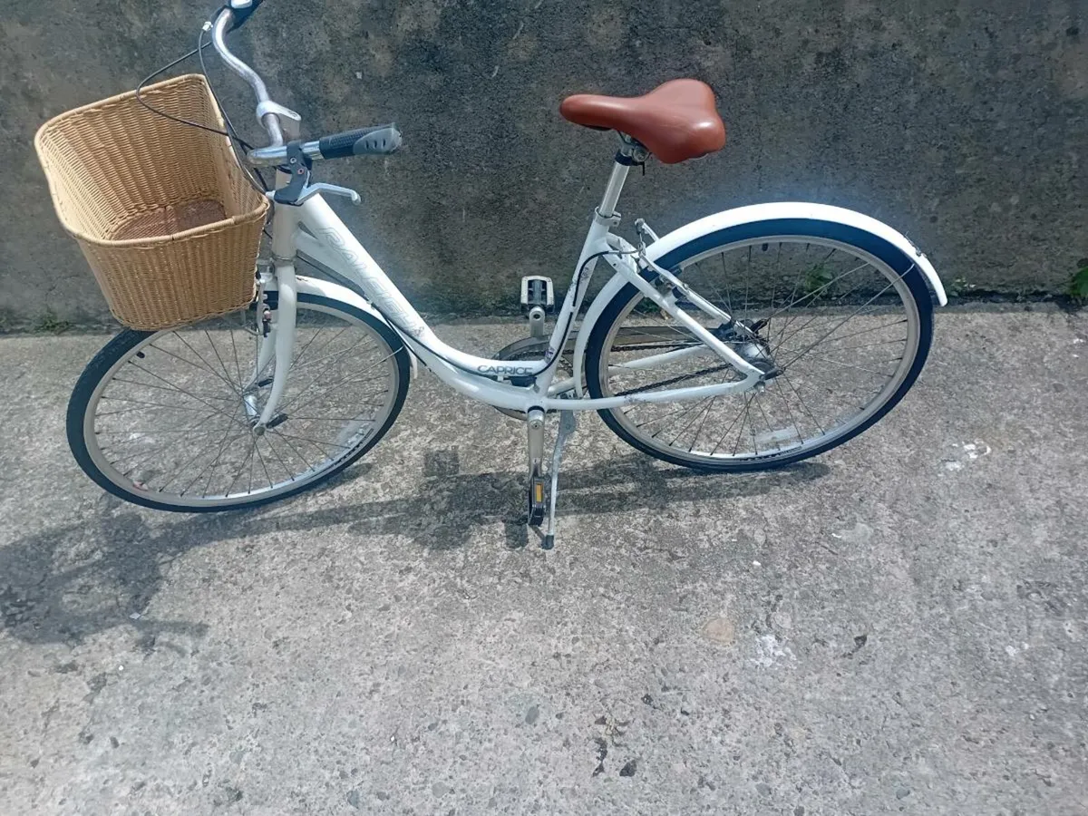 Adults bike - Image 1