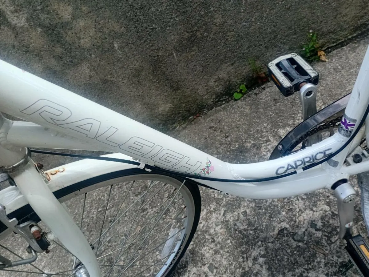 Adults bike - Image 2