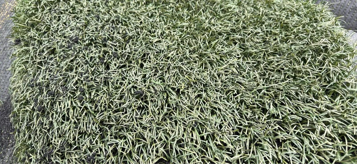Astro turf, 3G grass, synthetic turf - Image 2