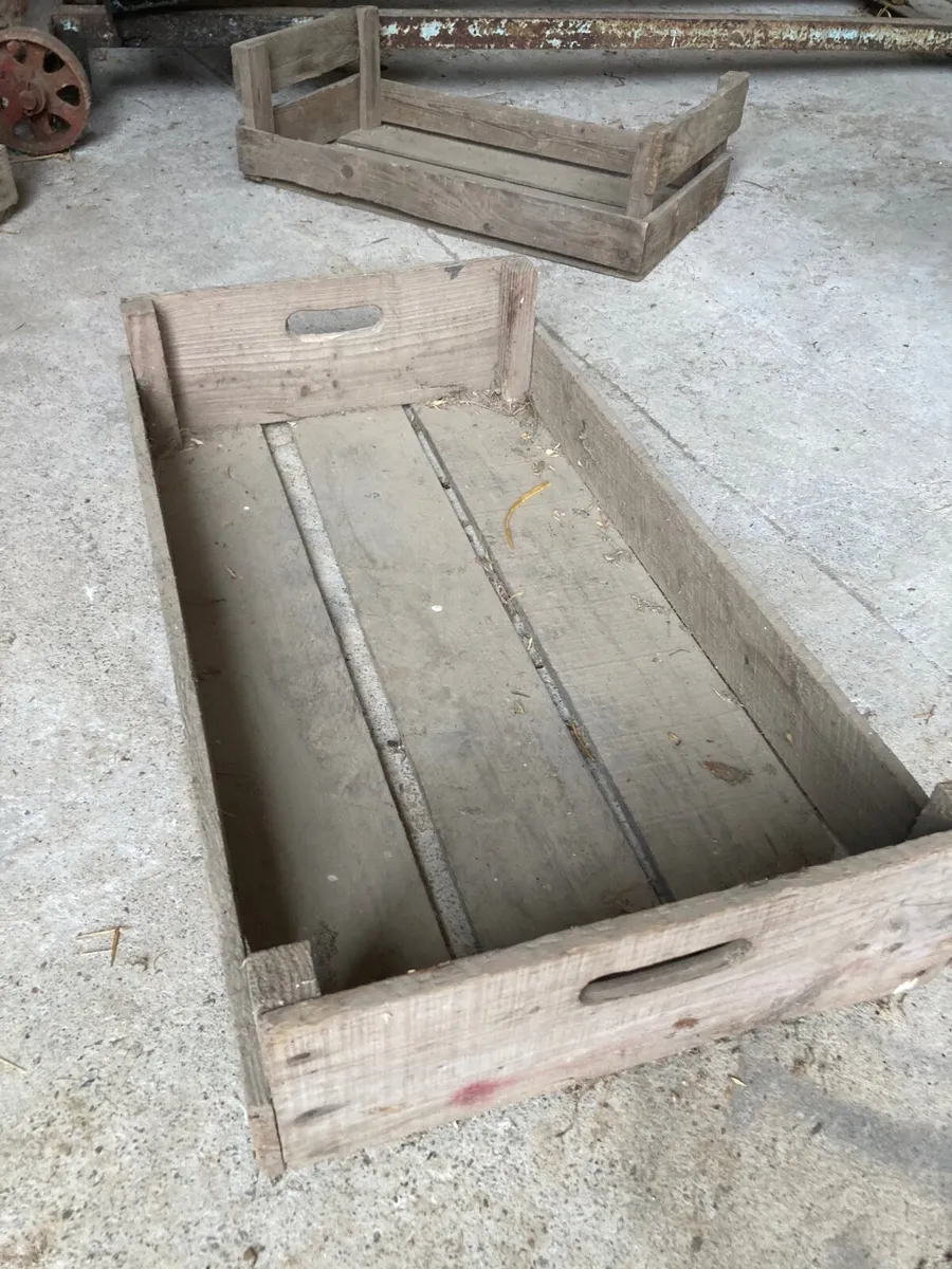 Potato Sprouting Boxes - Image 3