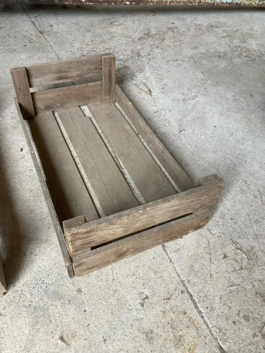 Potato Sprouting Boxes - Image 4