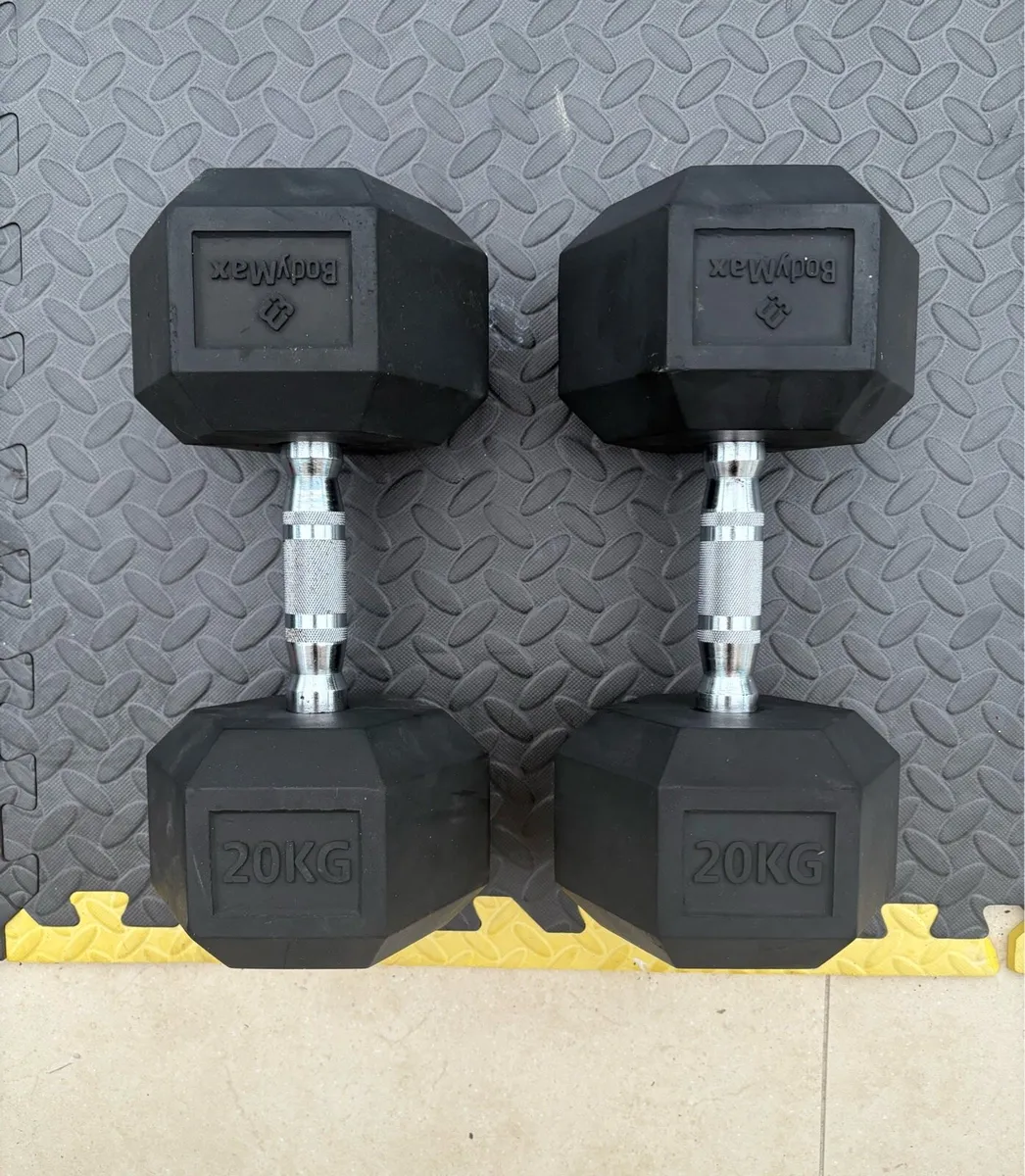 20kg weight - Image 1