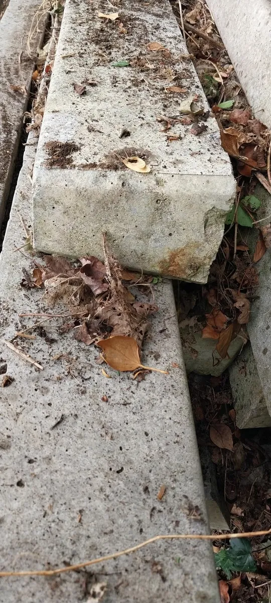 concrete pillars - Image 4