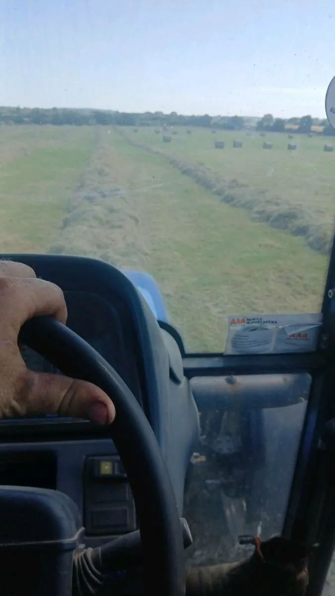 Hay