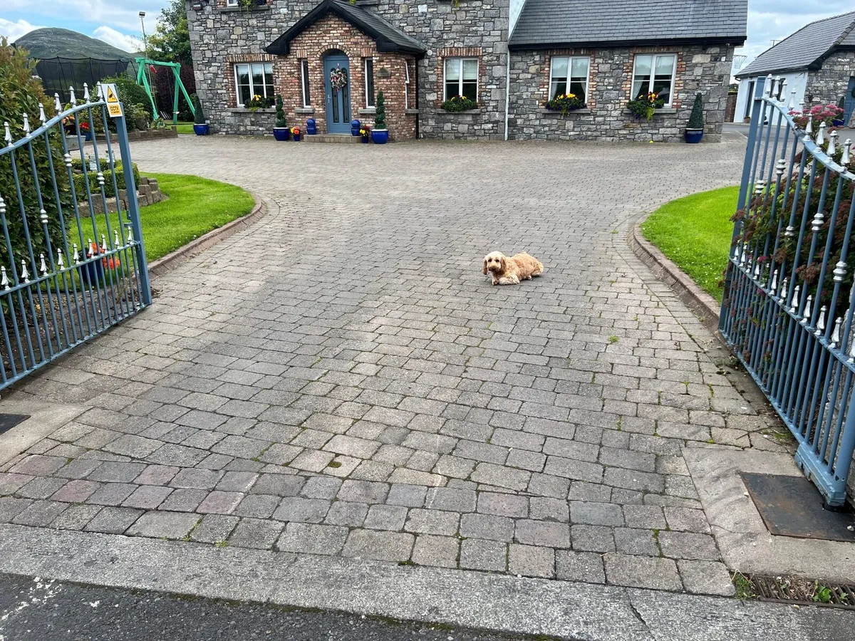 Bricks and Curbs - Image 4