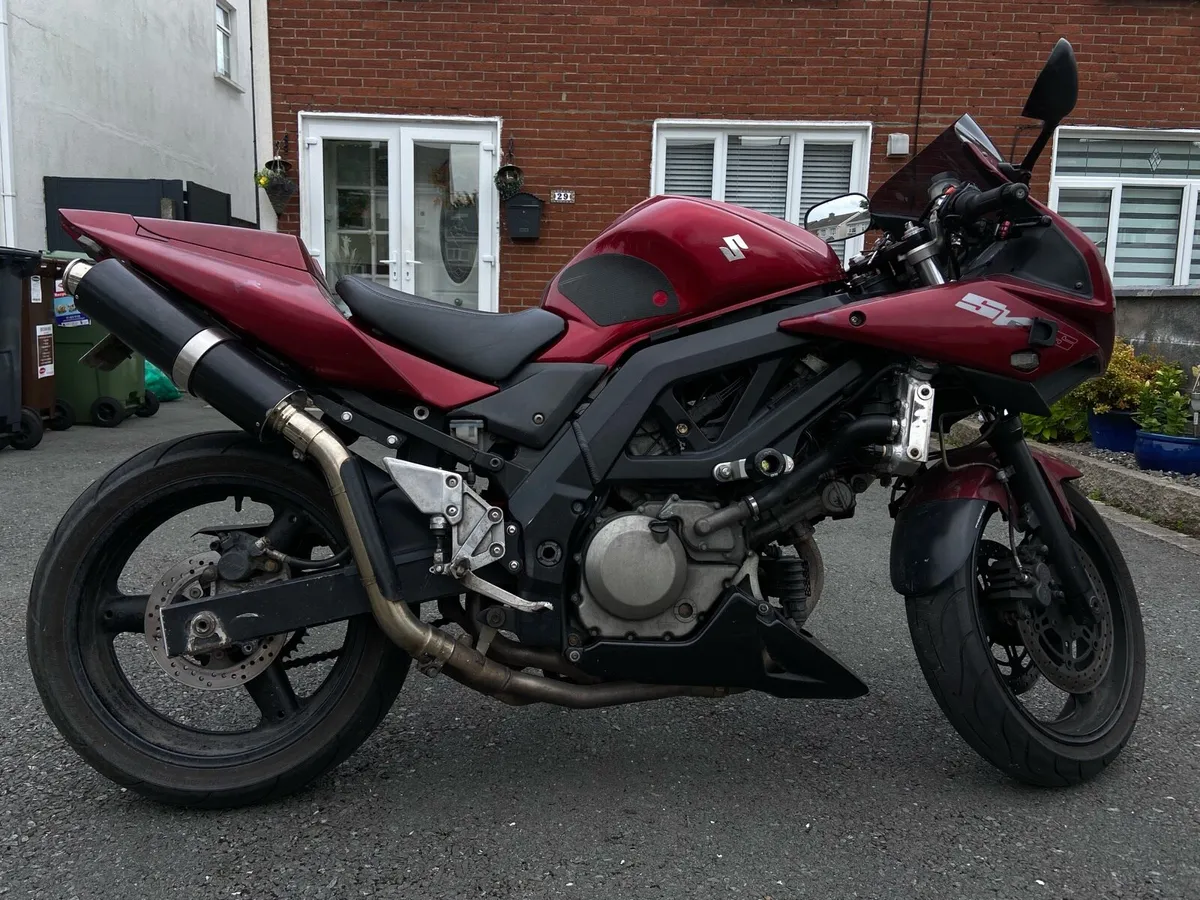 Suzuki SV 650 2008 - Image 3