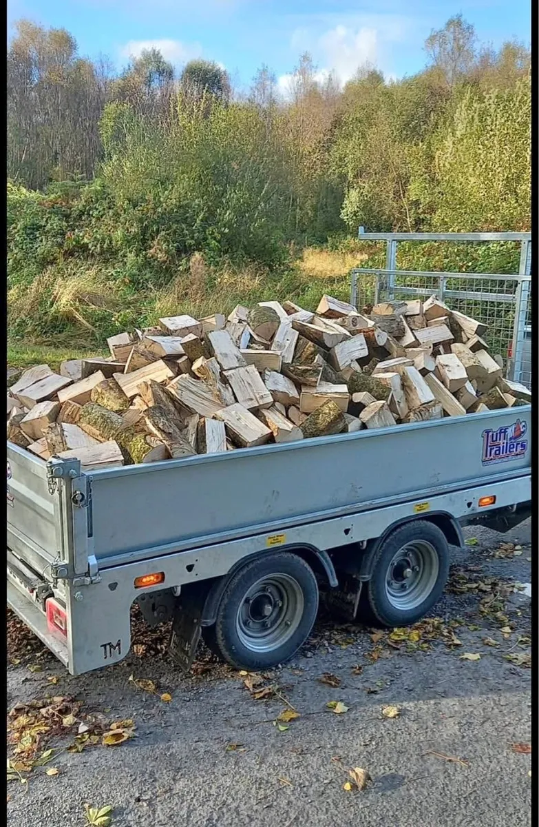 Firewood - Image 1