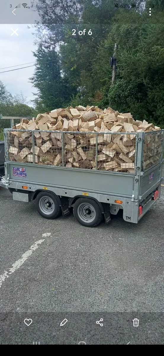 Firewood - Image 2