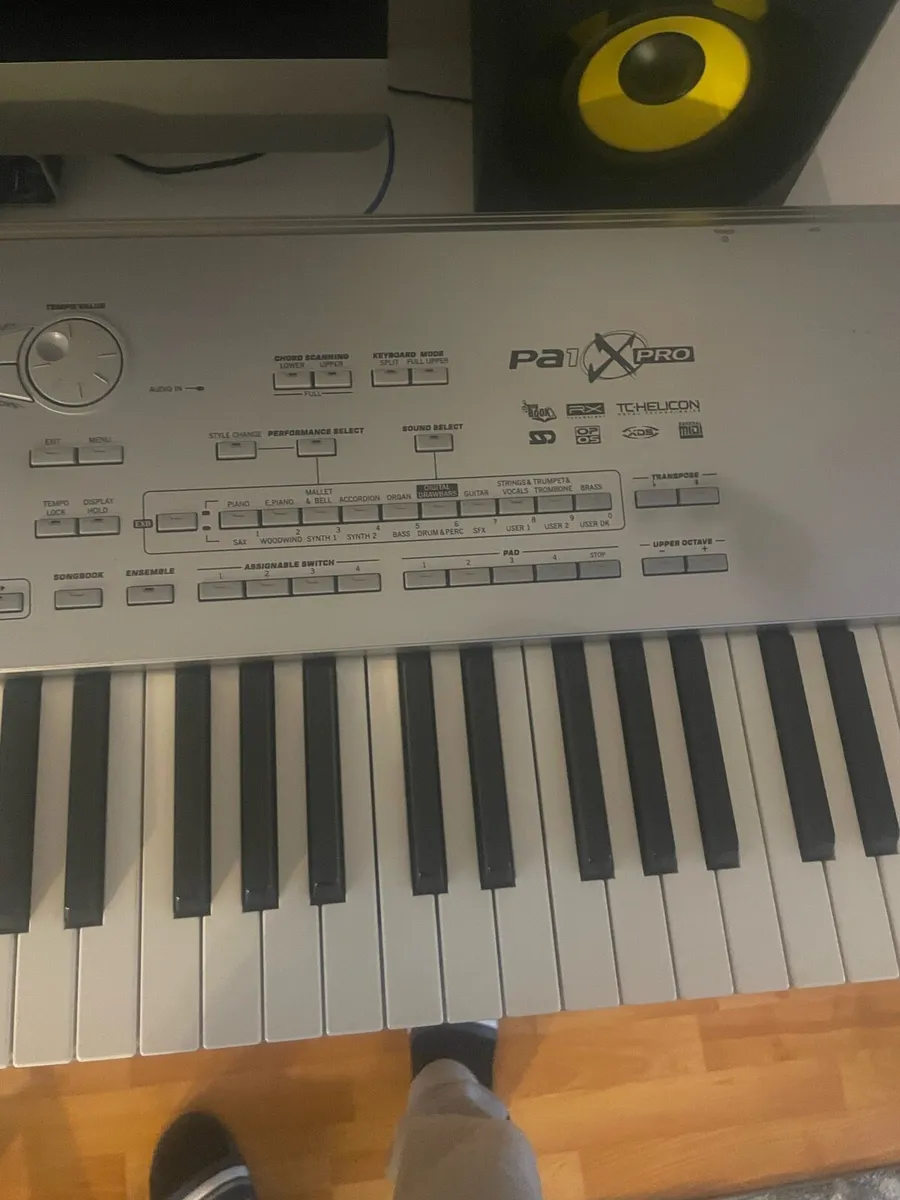 Korg pa1x pro - Image 1