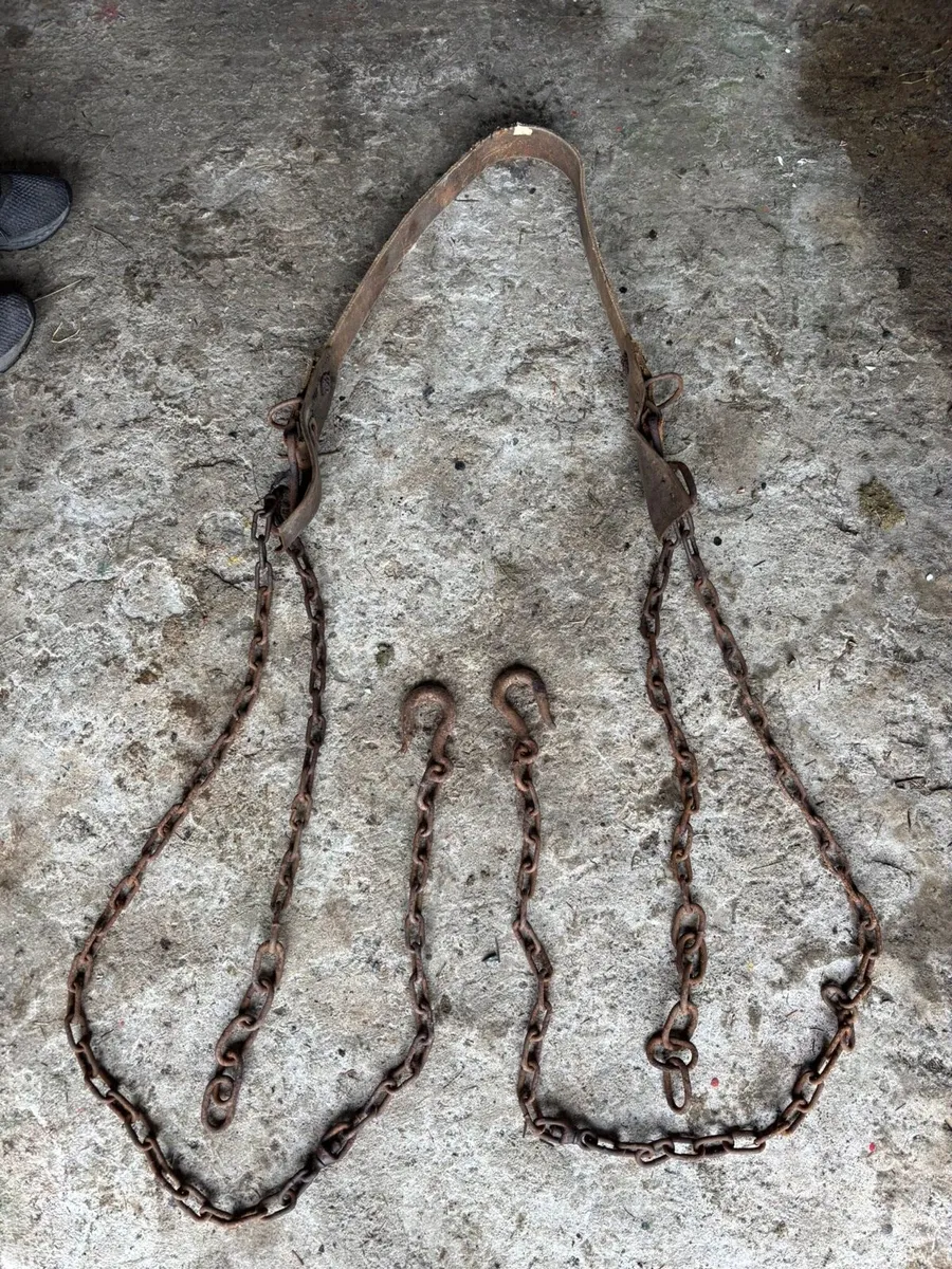 Ploughing Quinns and Back band & Traces - Image 2