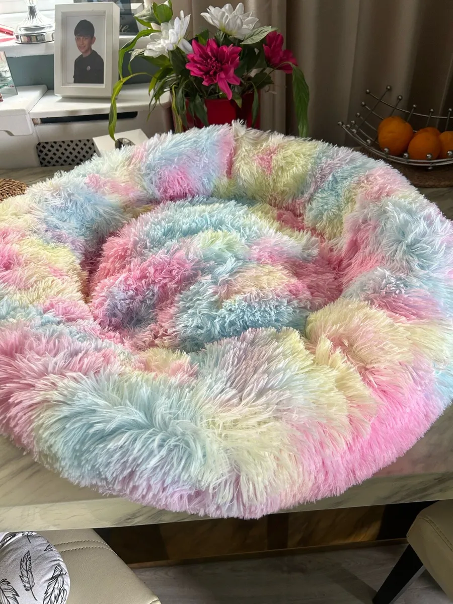 Dog beds - Image 1
